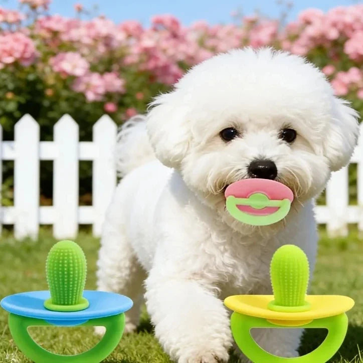 Small Dog Chew & Teething Toy, Durable Stick - MyPetDollar.com