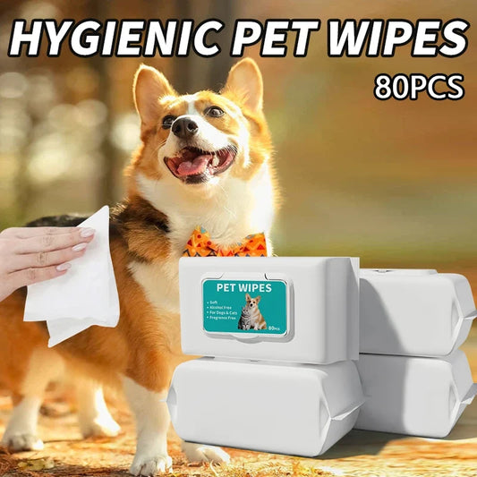 80PCS/pack Pet Wipes Disposable Pure Water - MyPetDollar.com