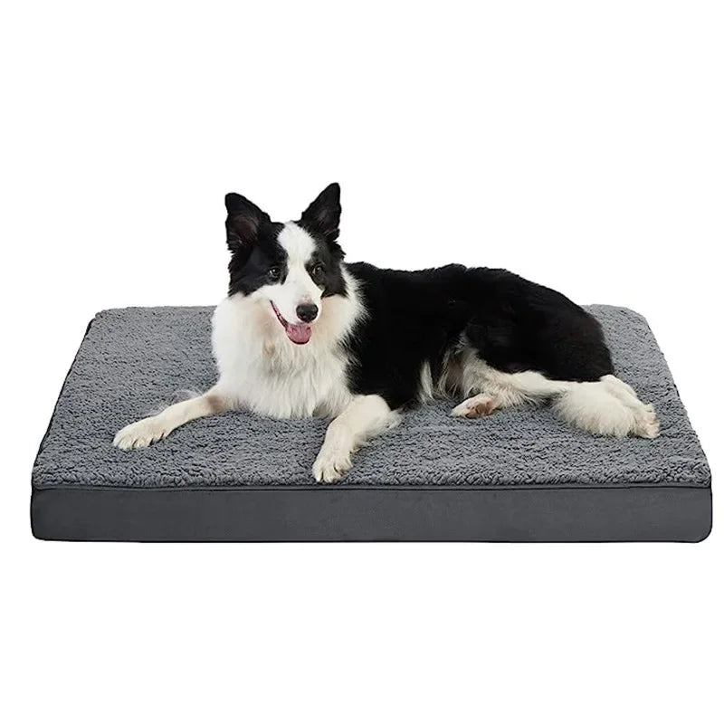 Washable Egg Memory Foam Pet Product Large - MyPetDollar.com