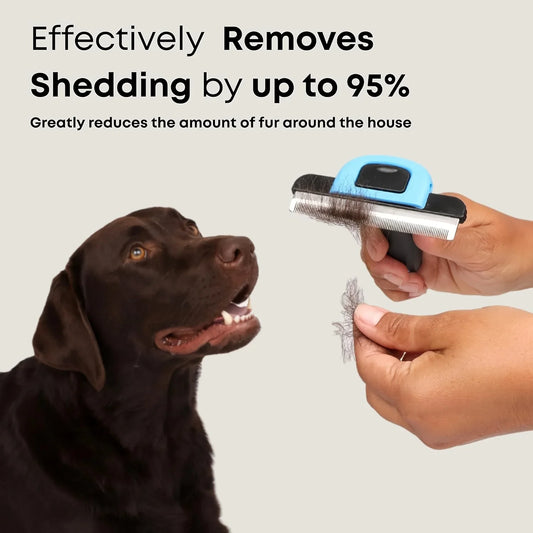 1PCS Short Hair Cat Dog Shedding Brush Pet - MyPetDollar.com