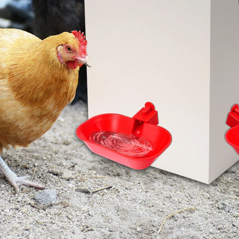 Poultry Water Bowl Pet Drinking Water - MyPetDollar.com