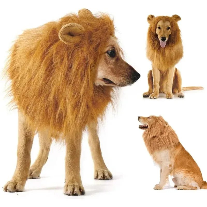 Large Dog Ears, Pet Accessories Cute Pet Dog - MyPetDollar.com