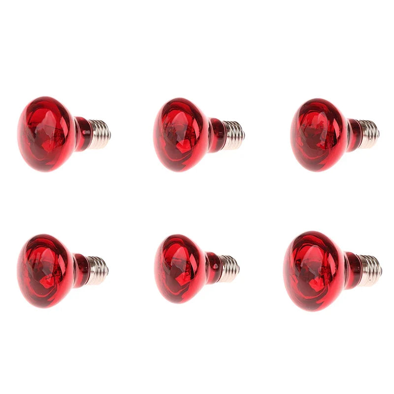 25/40/50/60/75/100W E27 UVA Poultry Bulb - MyPetDollar.com
