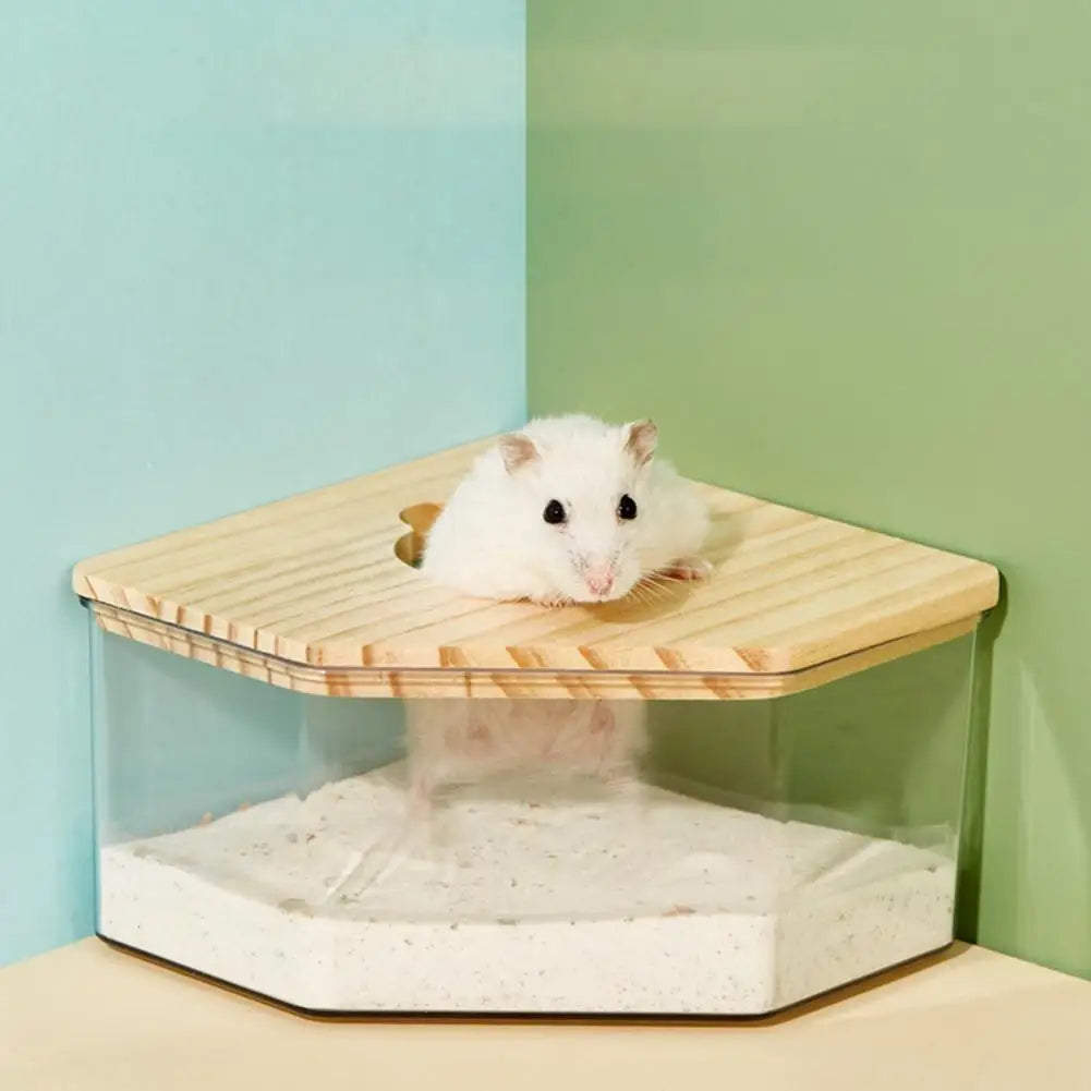 Hamster Golden Bear Sand Bath Box Acrylic - MyPetDollar.com