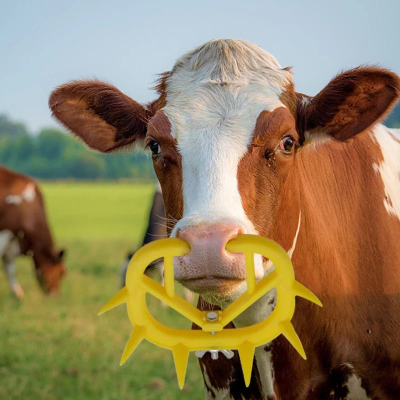5/10/20PCS Cattle Nose Ring Plastic Calf - MyPetDollar.com