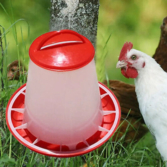 1.5L Chicken Poultry Feeder Bird Quail Food - MyPetDollar.com