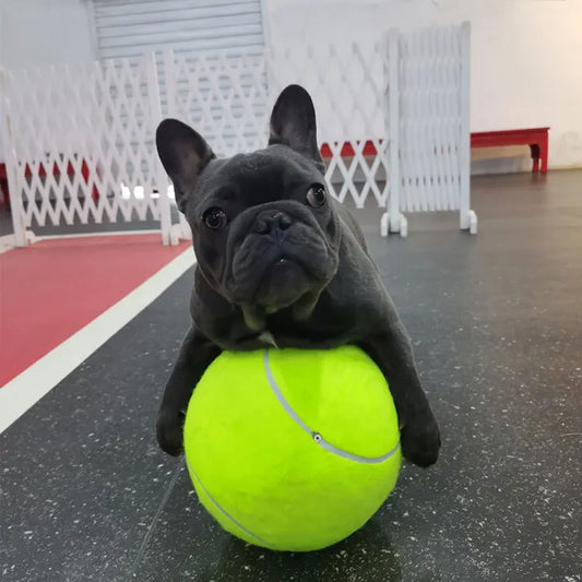 7/8/9.5Inch Dog Tennis Ball Giant Pet Toys - MyPetDollar.com