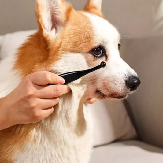 1/3/6PCS Dog Cat Tear Stain Remover Brush - MyPetDollar.com