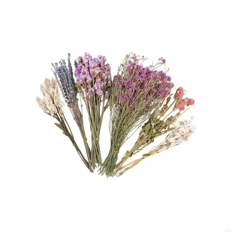 Natural Dried Flower Bedding for Hamster - MyPetDollar.com