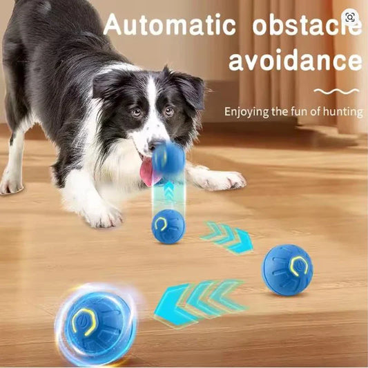 Electronic Interactive Pet Toy Ball USB - MyPetDollar.com