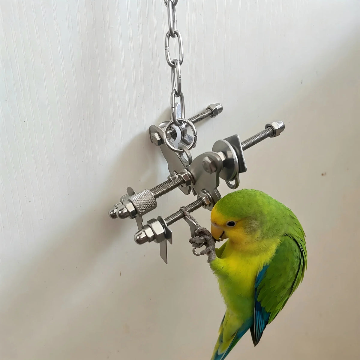 Stainless Steel Parrot Bell Toys Hanging - MyPetDollar.com