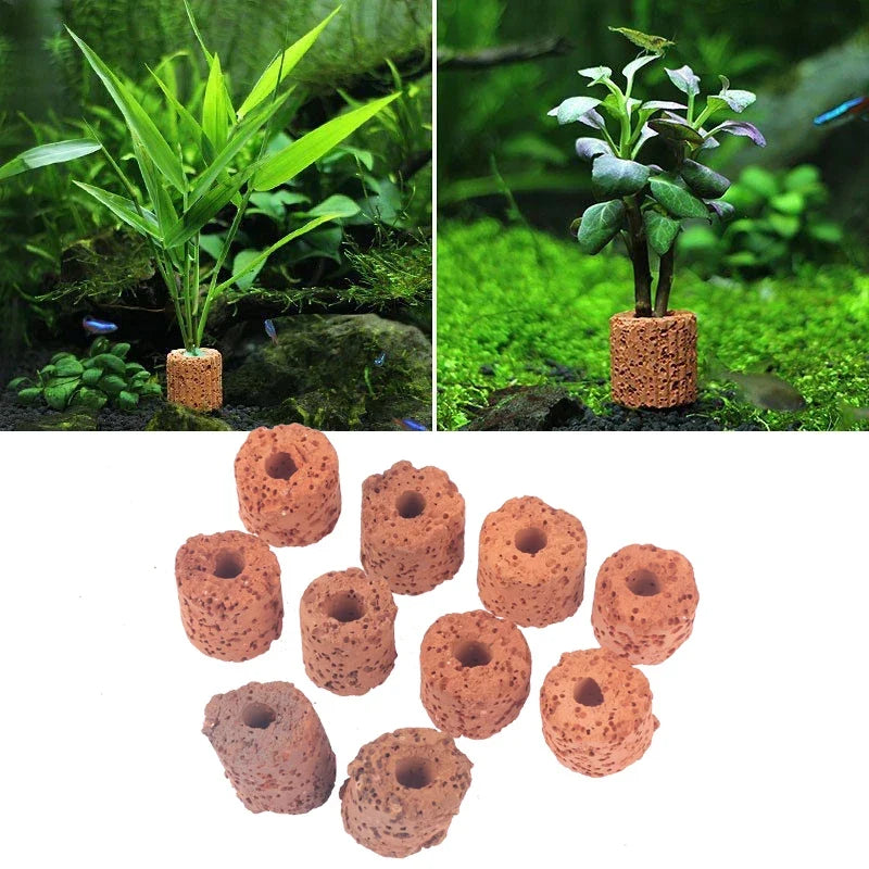 10Pcs Plant Ring Aquarium Fixed Watertank - MyPetDollar.com