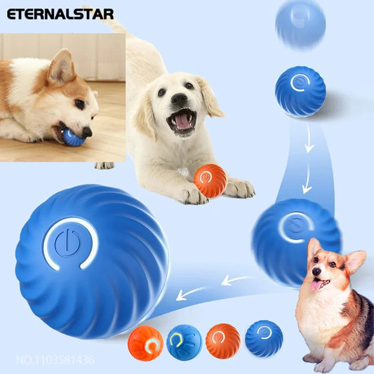 New Smart Pet Toy Ball Electric Interactive - MyPetDollar.com