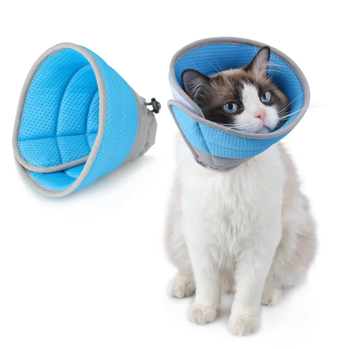 1PC Cartoon Pet Tapered Collar with - MyPetDollar.com