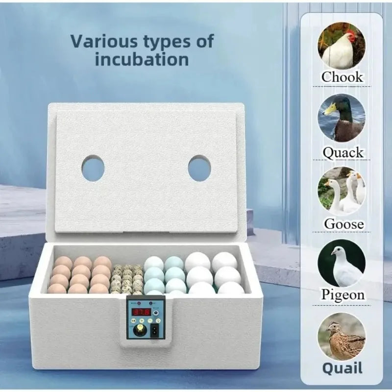 Waterbed Egg Incubator Provides Precise - MyPetDollar.com