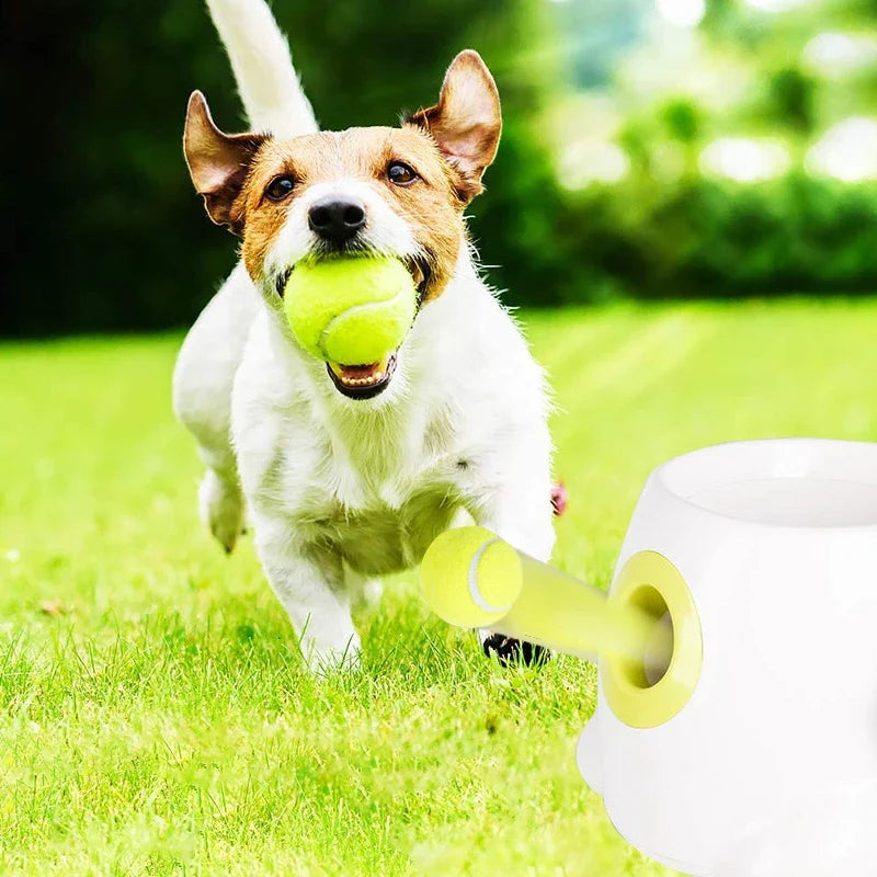 5cm Dog Pet Tennis Interactive Toy Chew Ball - MyPetDollar.com