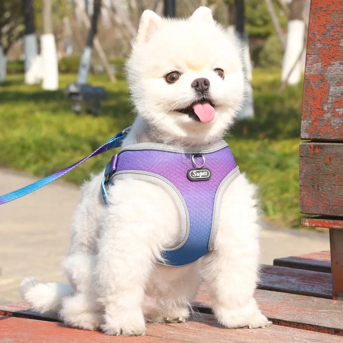 Supet Pet Step-in Dog Harness, Adjustable - MyPetDollar.com