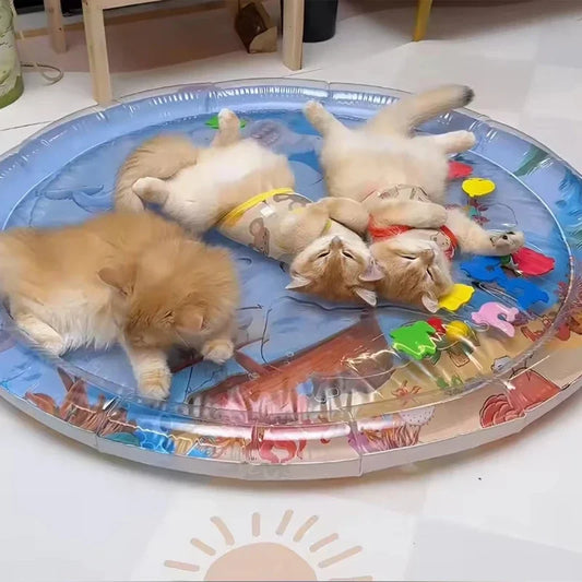 Pet Supplies Thickened Inflatable Pet Water - MyPetDollar.com