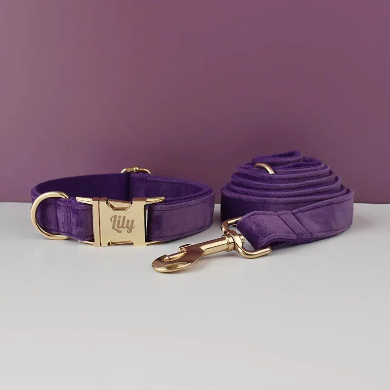 Purple Velvet Dog Collar And Leash Set For - MyPetDollar.com