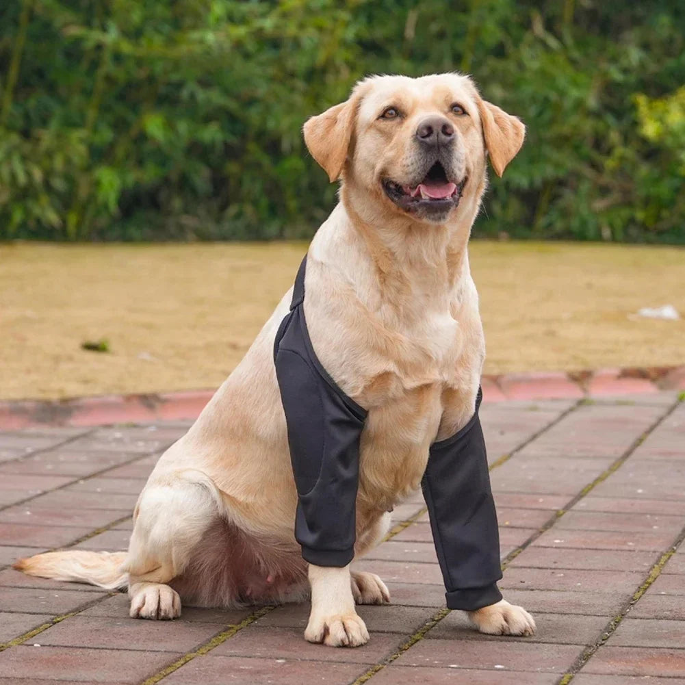 Pet Knee Pads for Joint Injury Recovery Legs - MyPetDollar.com