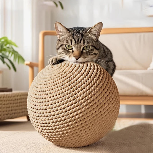 Large Sisal Cat Ball Toy, Interactive - MyPetDollar.com