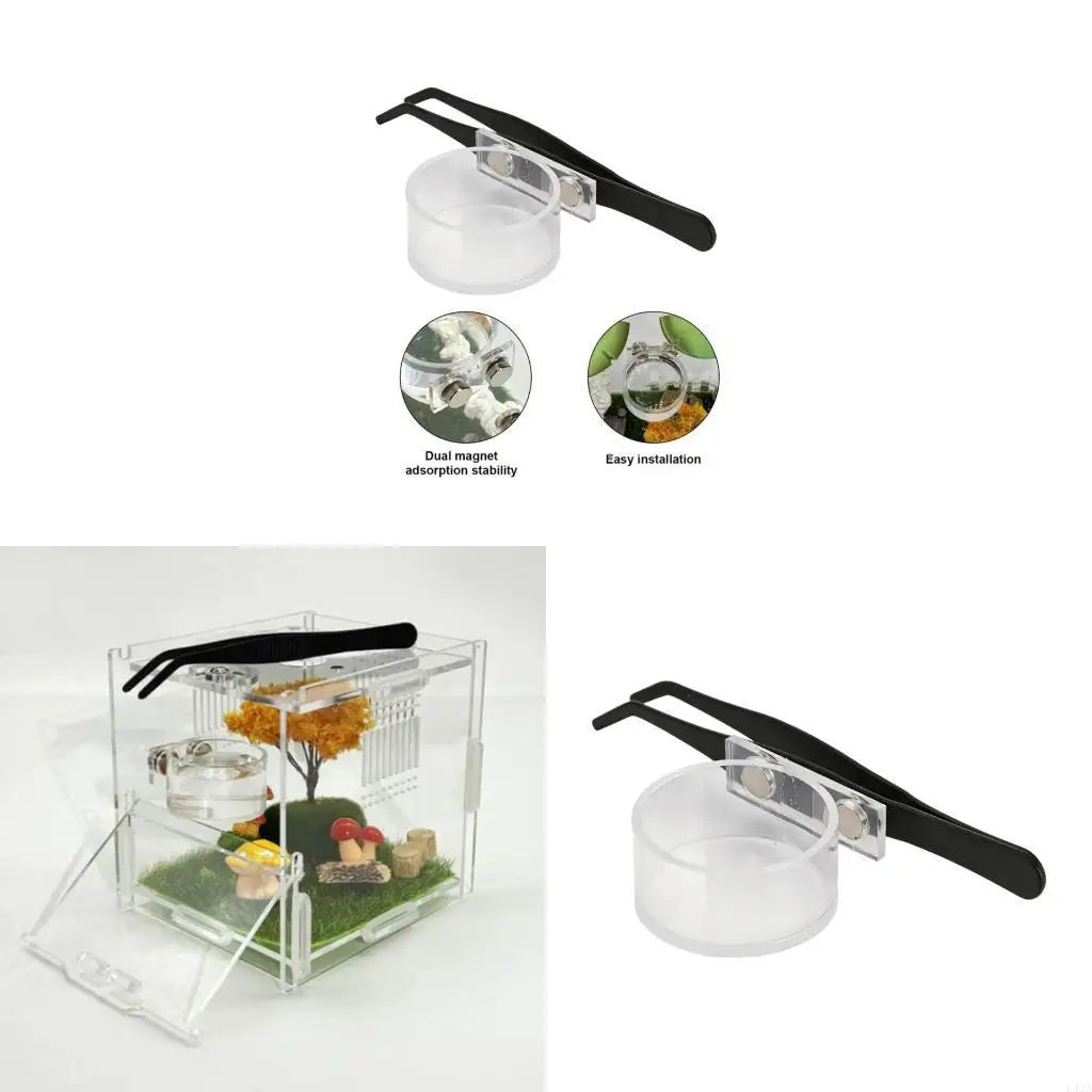 L43A Reptiles Tray Feeder Dish Container For - MyPetDollar.com