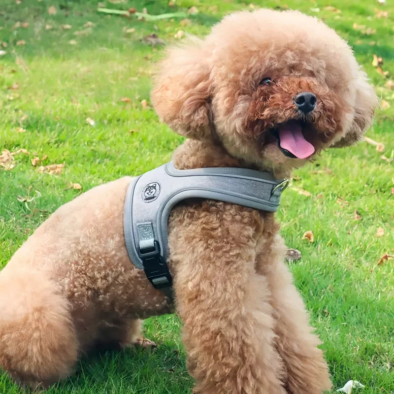 Dog Collars Pet Harness No Pull Nylon - MyPetDollar.com