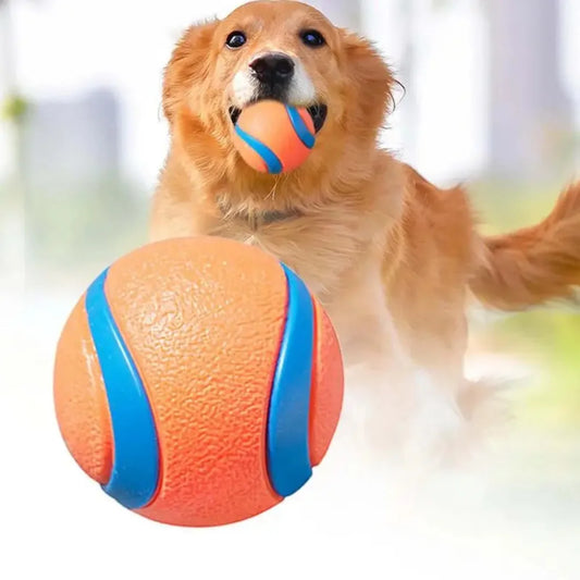 Dog Toy Ball Dog Fetch Ball Toy Tough Pet - MyPetDollar.com
