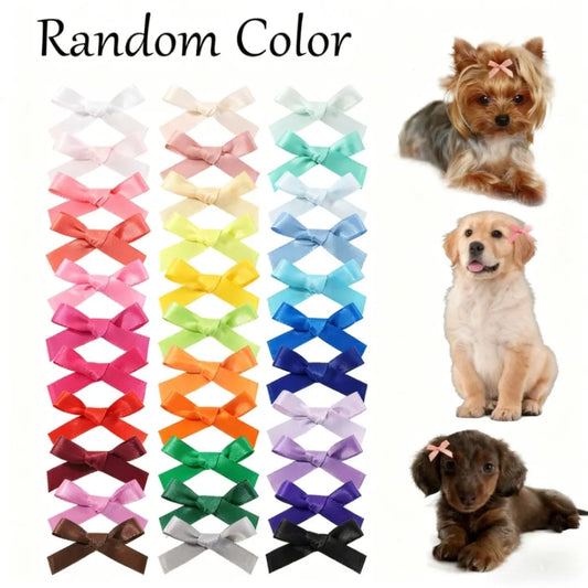 10/20pcs Cute Pet Bow Hair Clips - Random - MyPetDollar.com