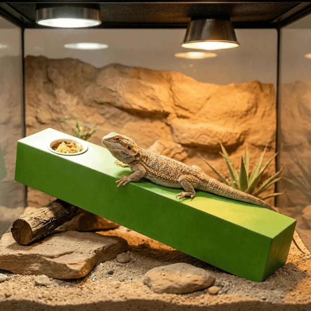 Anti Slip Lizard Feeding Stick Wear - MyPetDollar.com