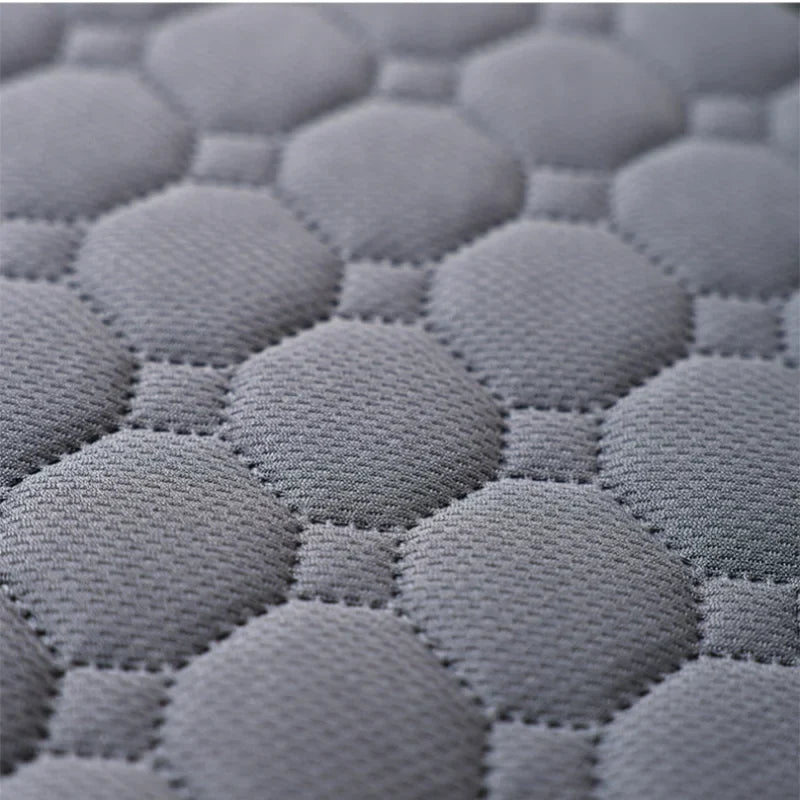 Pet Absorbent Diaper Mat Waterproof and Anti - MyPetDollar.com