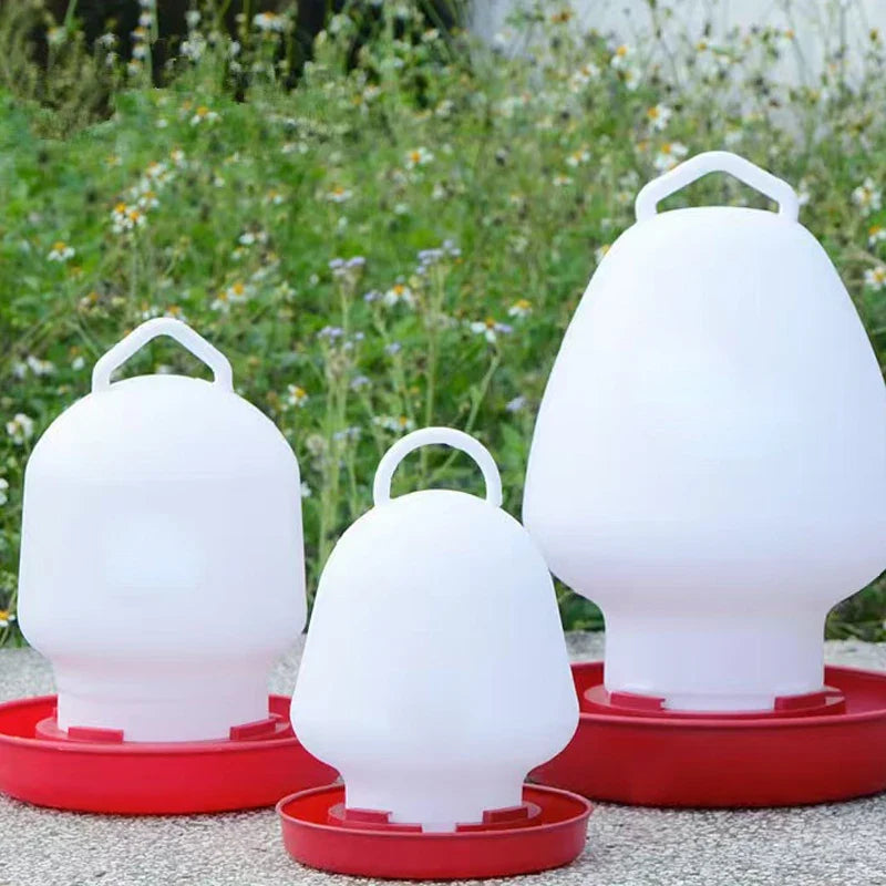 1L/3L/4L Chicken Feeder Bucket Water - MyPetDollar.com