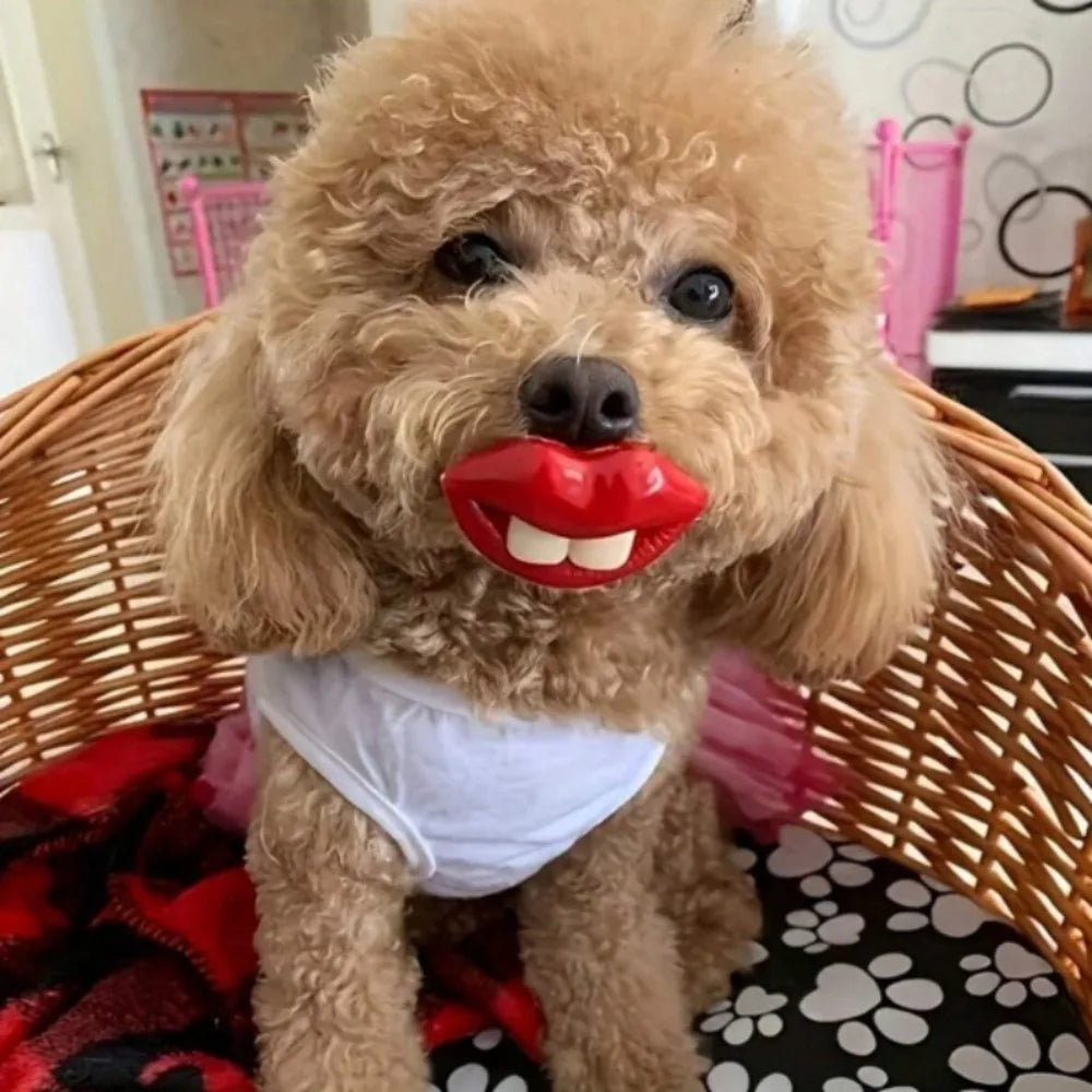 1PC Bite-resistant silicone dog toy with a - MyPetDollar.com