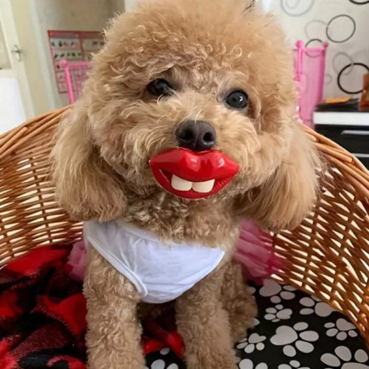 1PC Bite-resistant silicone dog toy with a - MyPetDollar.com