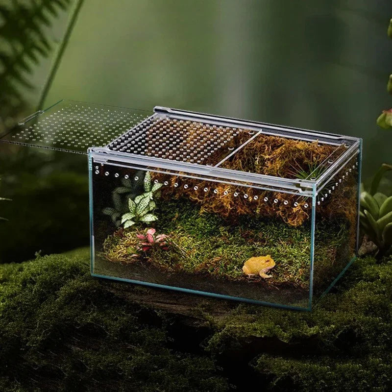 Acrylic Reptile Feeding Cage Horned Frog - MyPetDollar.com