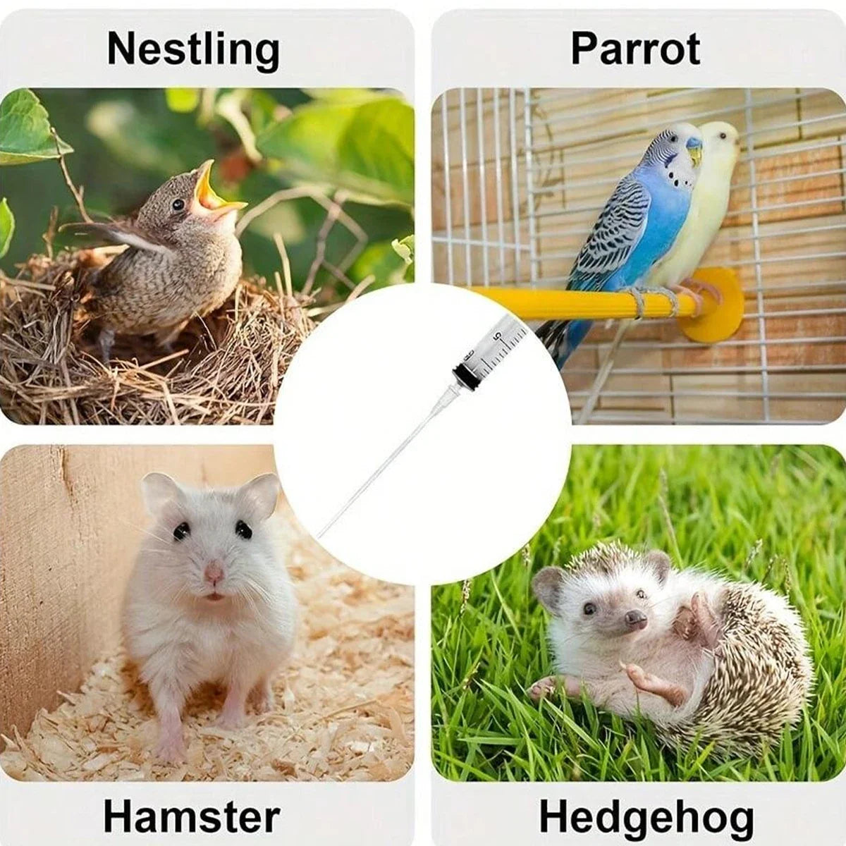 Baby Bird Feeding Syringe,Parrot Small - MyPetDollar.com