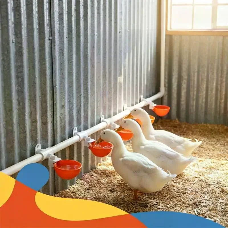5Pcs Automatic Drinking Bowl Chicken Drinker - MyPetDollar.com