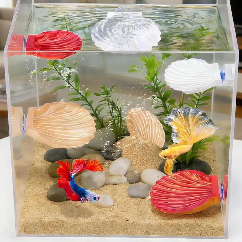 Betta Fish Shell Spawning Rest Platform With - MyPetDollar.com