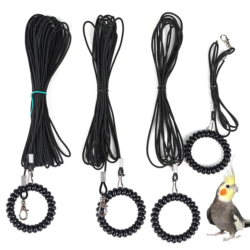 2M-10M Pet Bird Outdoor Training Harness - MyPetDollar.com