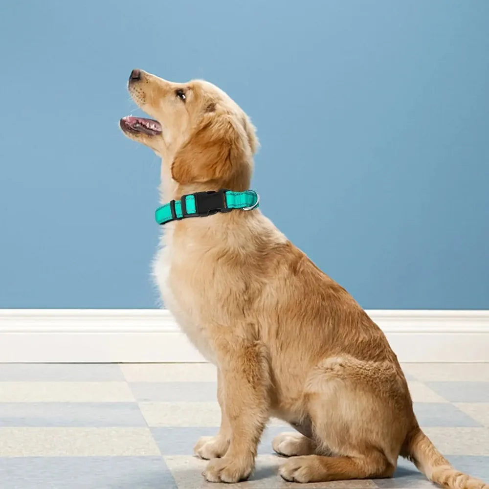 Dog Collar Adjustable Soft Neoprene Padded - MyPetDollar.com