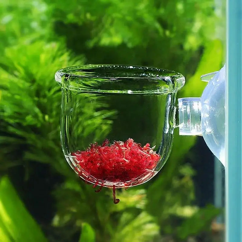Aquarium Decorations Plant Cup Pot Acrylic - MyPetDollar.com