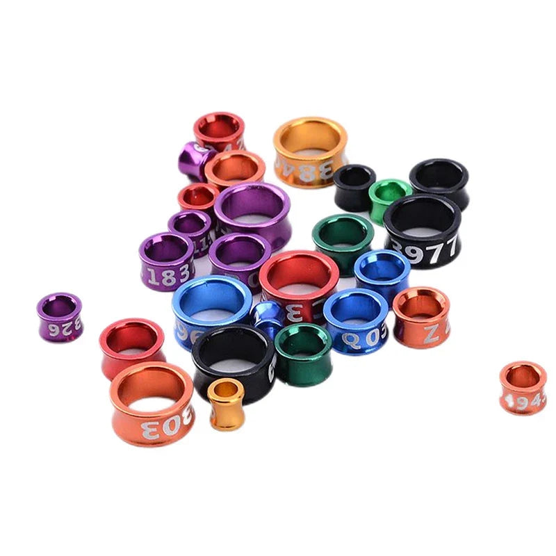 10Pcs Outdoor Bird Flying Training Ring - MyPetDollar.com