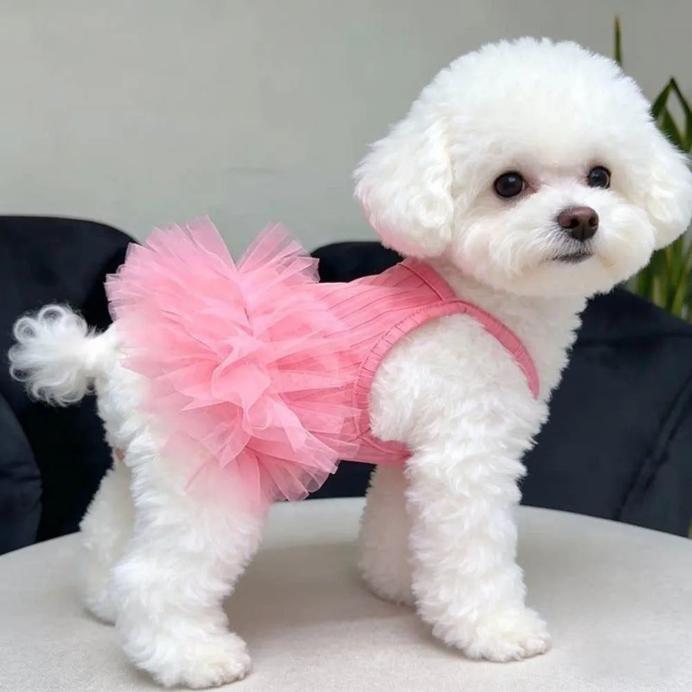 Cute Breathable Puppy Slip Dress Lace Hem - MyPetDollar.com