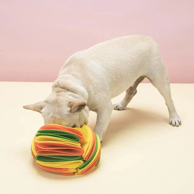 Dog Snuffle Ball Mat Sniffing Training Food - MyPetDollar.com