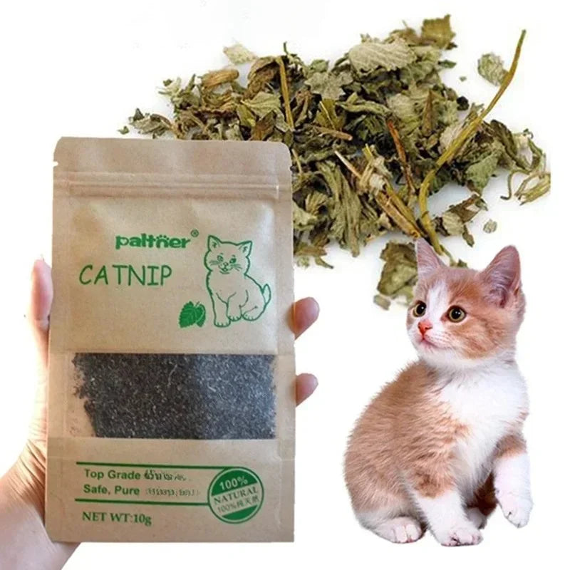 Natural Premium Catnip Cattle Grass - MyPetDollar.com