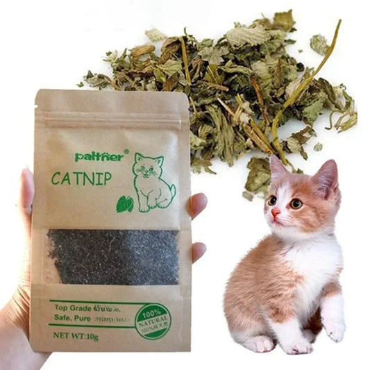 Natural Premium Catnip Cattle Grass - MyPetDollar.com