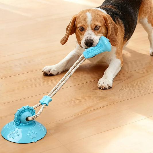 Dog Toy Suction Interactive Chew Toy Teeth - MyPetDollar.com
