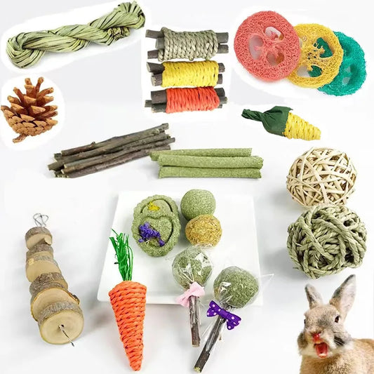 Rabbit Guinea Pig Dragon Cat Chew Toys Tooth - MyPetDollar.com