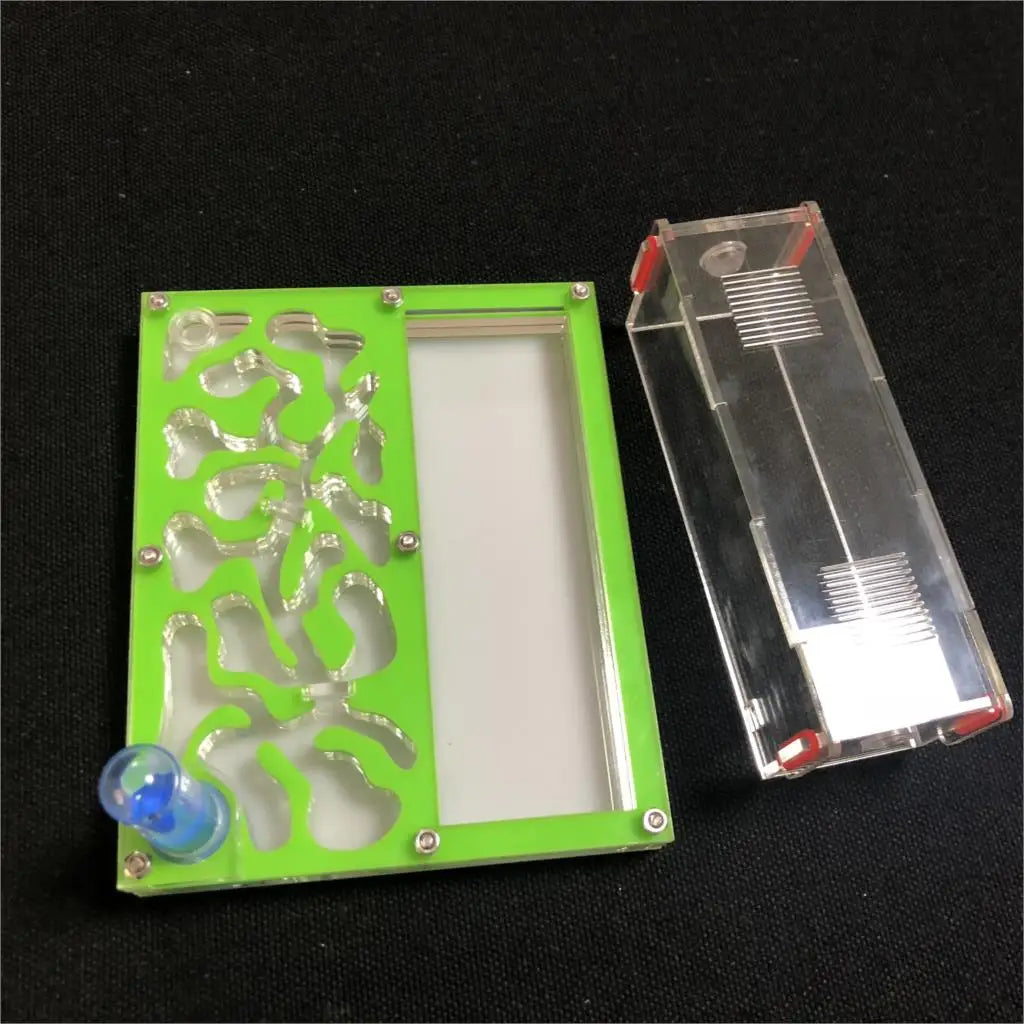 150mmx110mm test tube Moisture big space Ant - MyPetDollar.com