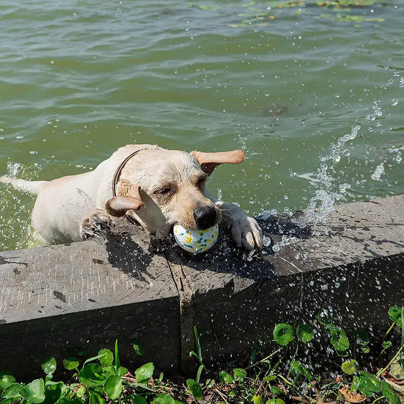 Pet Dog Toy Super Bite Resistant Ball Light - MyPetDollar.com